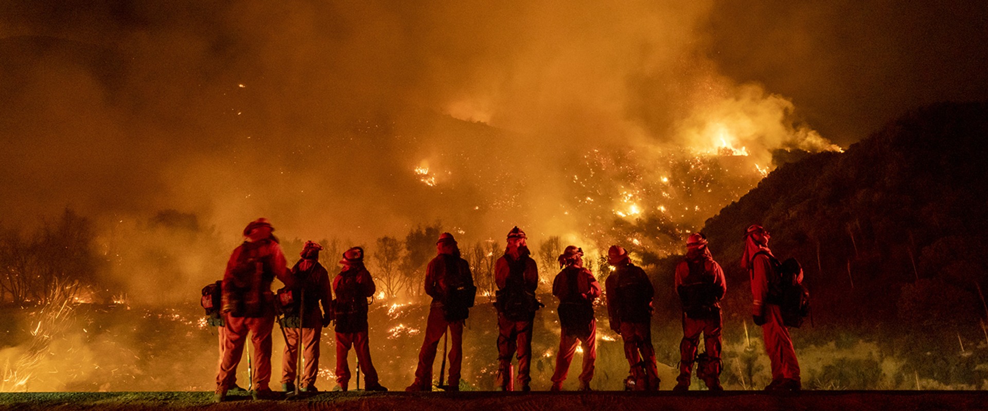 How to Prepare for Wildfires in Suffolk County